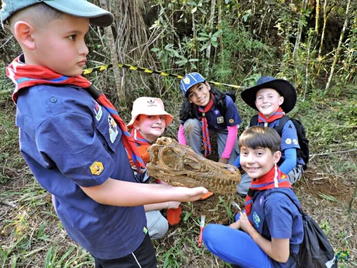 Lobinhos de Caçador têm aula prática de paleontologia