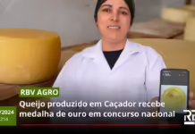 RBV Agro 214 – Medalha de ouro para queijo de Caçador