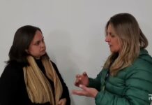 Centro de Bem Estar Animal recebe cães que estavam em abrigo particular