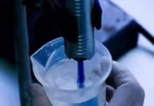 Pesquisa aponta nova linhagem do vírus Oropouche no Brasil