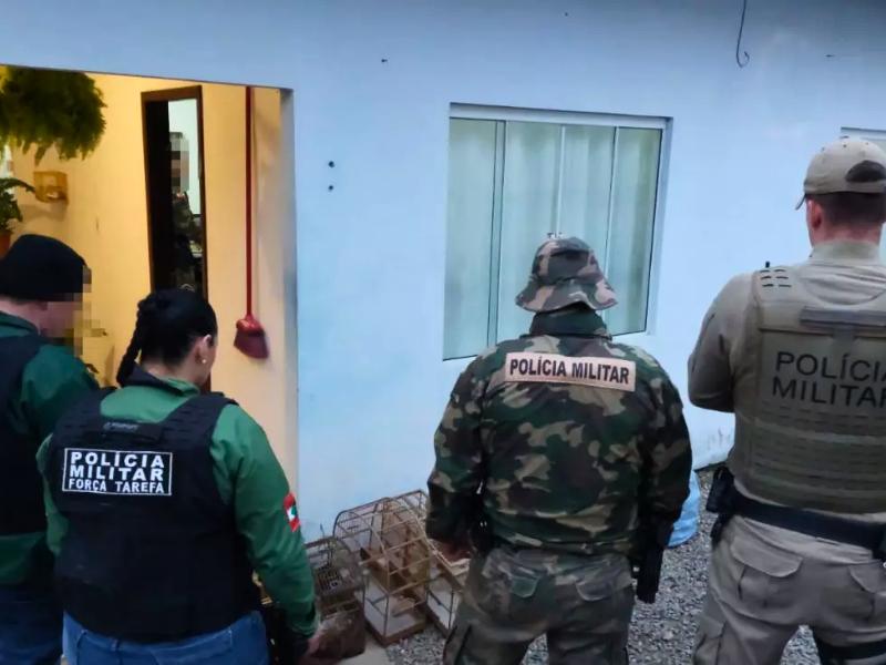 Polícia deflagra maior operação contra comércio ilegal de animais da história em SC