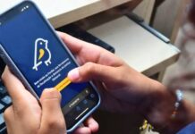 SC já registra mais de 430 denúncias eleitorais