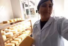 Queijo caçadorense ganha medalha de ouro em prêmio nacional