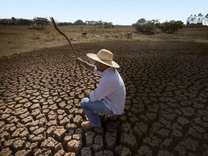 Seca histórica ameaça produção de alimentos no Brasil