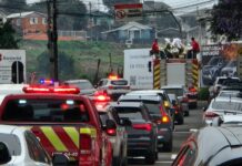 Vídeo: Caçador se despede de Zé Adami
