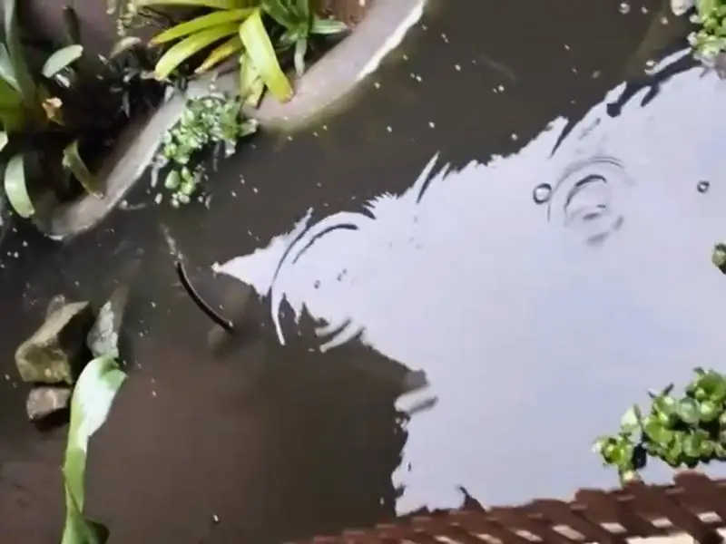 Chuva preta é registrada em cidades de Santa Catarina