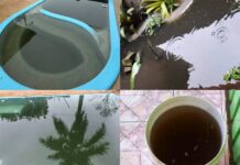 Fotos: Chuva preta é registrada em Caçador, Videira e Fraiburgo