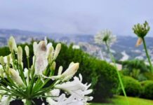 Confira como ficará o tempo para o feriado de Natal