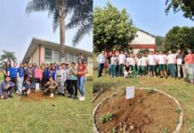 Ipês Rosa são plantados em Videira e Salto Veloso