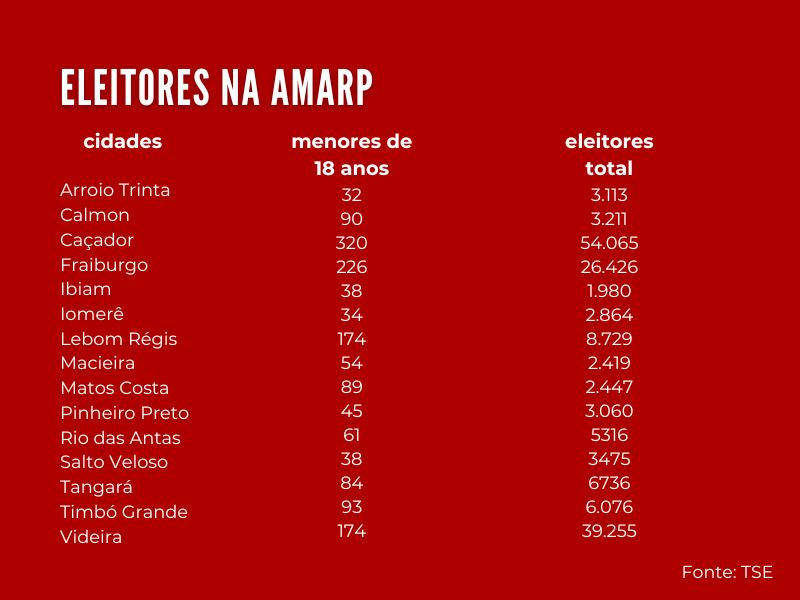 Menores de 18 anos aptos a votar nas municipais cresce