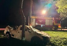 Jovem morre em acidente na BR-116, outro fica ferido