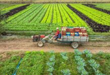 Programas de apoio direto ao produtor terão aumento de 28% em SC