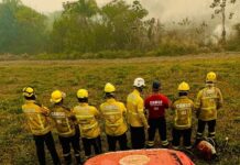 Bombeiros de SC intensificam combate a incêndios no Mato Grosso do Sul