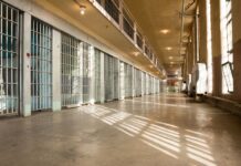 Indulto natalino de 2024 é assinado pelo presidente