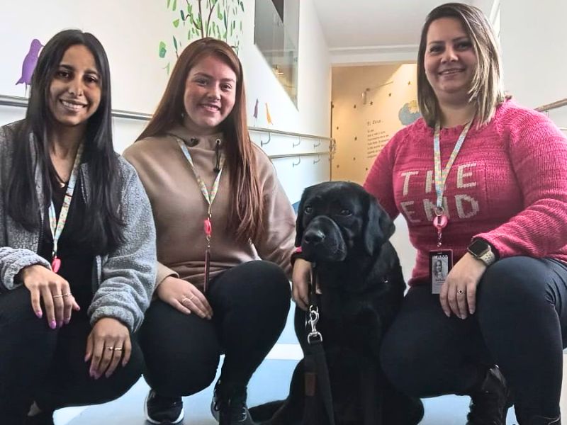 Cão treinado visita paciente autista no HSDS em Videira