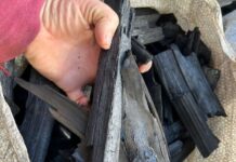 Produção de carvão vegetal em Macieira mantém o espírito familiar