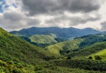 SC integra mega operação para combate ao desmatamento