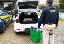 Homens são presos com 61 kg de maconha na BR-282 em Irani