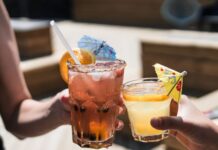 Santa Catarina não terá lei seca nas eleições de 2024