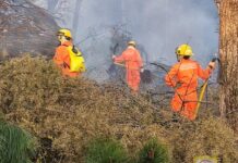 Bombeiros de Caçador atendem 9 incêndios em vegetação em 24 horas