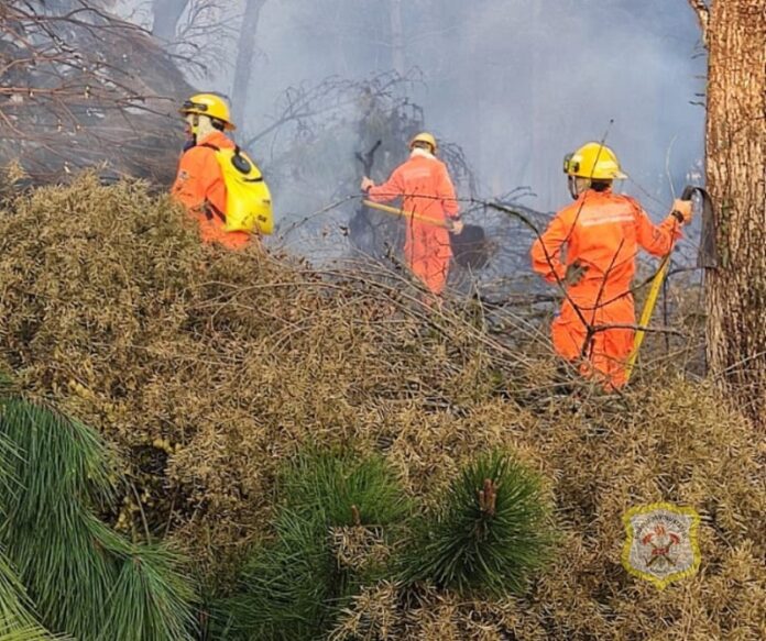 Bombeiros de Caçador atendem 9 incêndios em vegetação em 24 horas