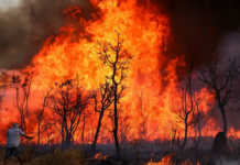 Cenário “apocalíptico” de incêndio assusta internautas