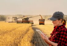 Observatório Agro Catarinense oferece inovação para o setor agropecuário