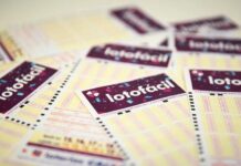 Catarinense fatura R$ 301 mil na Lotofácil com aposta simples
