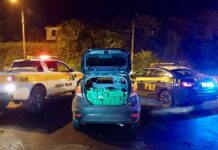 Polícia apreendem mais de 500 kg de maconha no Oeste catarinense