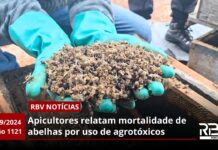 RBV Notícias – 16/09/2024 – Edição 1121