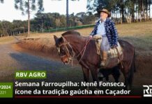RBV Agro 221 – Semana Farroupilha: Nenê Fonseca, ícone da tradição gaúcha em Caçador