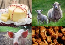 Comunidade rural de Caçador realiza rifa da fazendinha