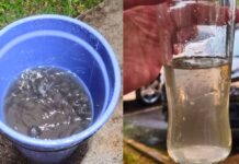 Santa Catarina registra “chuva preta”; veja as cidades afetadas