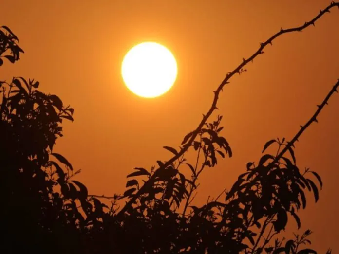 Cidades do Meio-Oeste e Serra têm umidade do ar inferior à do deserto do Saara