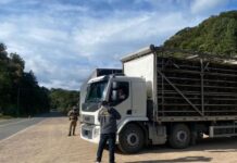 Trânsito de subprodutos animais não comestíveis tem novas regras