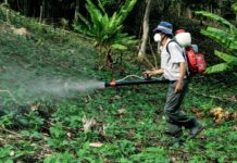 Governo lança iniciativa para promover bioinsumos e reduzir agrotóxicos