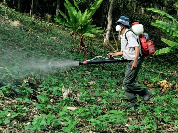 Governo lança iniciativa para promover bioinsumos e reduzir agrotóxicos