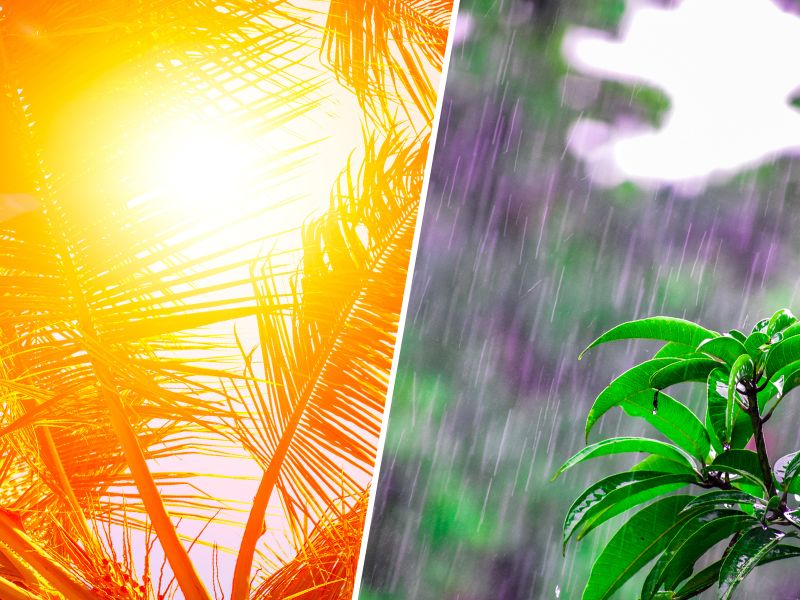Previsão do Tempo: Santa Catarina com final de semana típico de verão