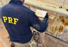 PRF apreende 438 kg de cocaína que teria Videira como destino