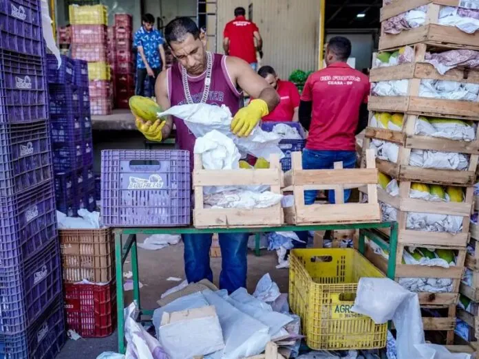 CCJ do Senado aprova redução de imposto para mercados doarem alimentos