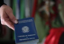 Mais de 130 mil trabalhadores assinam carteira em SC em 2024