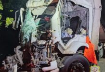 Motorista fica preso às ferragens após choque entre caminhões