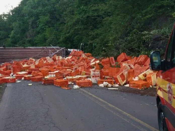 Caminhão carregado de frangos tomba e animais se espalham pela pista