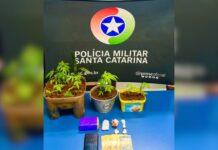 Polícia Militar prende jovem de 21 anos por tráfico de drogas