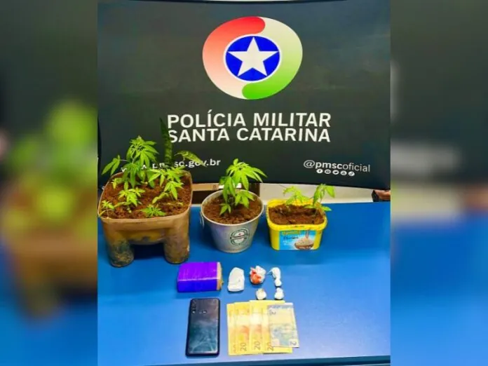 Polícia Militar prende jovem de 21 anos por tráfico de drogas