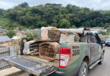 Polícia Ambiental flagra pássaros em cativeiro no bairro Martello
