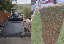 Caçador com pavimentações no interior e ajardinamento