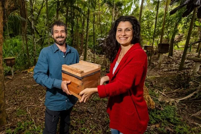 Sebrae/SC adere à campanha “Compre do Pequeno”