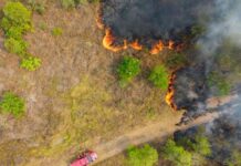 Bombeiros de SC ampliam atuação no combate aos incêndios no Mato Grosso