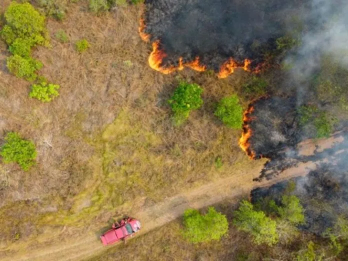 Bombeiros de SC ampliam atuação no combate aos incêndios no Mato Grosso